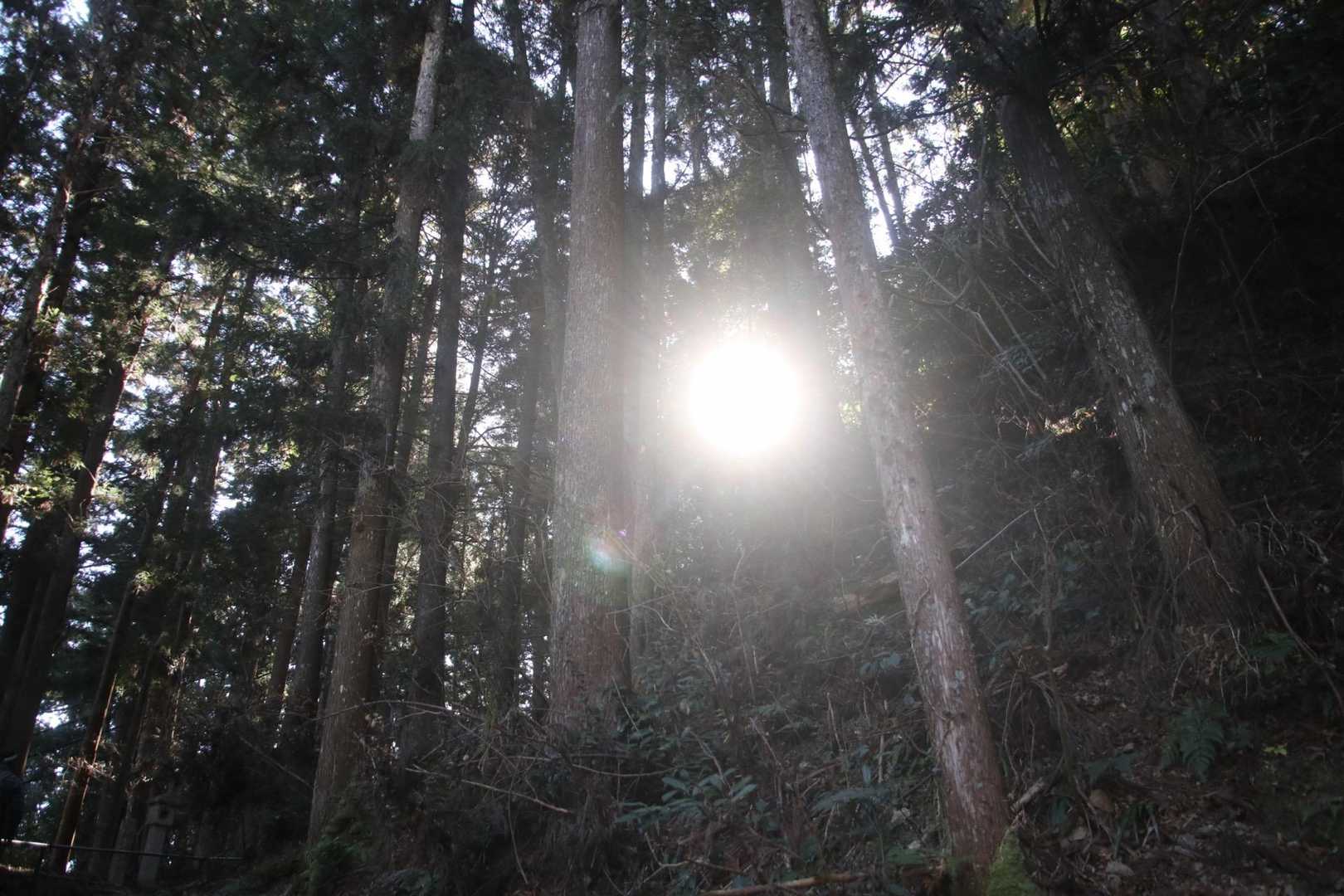 滋賀県のお山に向かったのですがまたもや大雪のようでしたので急遽、こちらのお山へ。
雲もないお天気でした😊