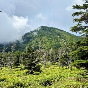 右に雲に襲われる蓼科山を見上げながら、単調な緩やかトレイルを歩き続けます🚶...