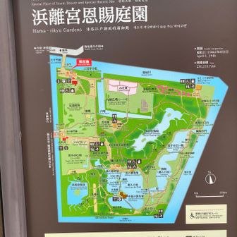 元々は徳川家の所有だったのが、明治以降、皇室が譲り受け、宮内庁が管理しています