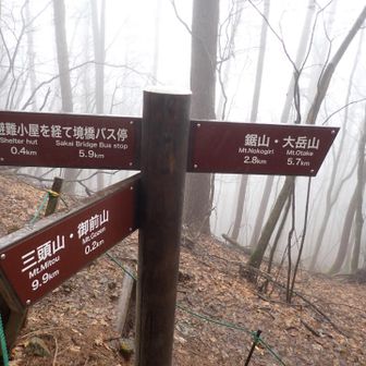 下山経由地に避難小屋があるのでそこで昼食タイムにしました。