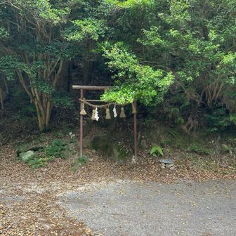 舗装道路の鳥居を登った先が