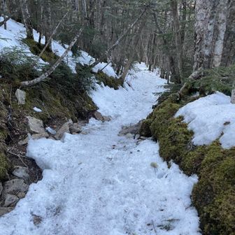 鳳凰山・地蔵岳・観音岳・薬師岳 道中雪少なめ
