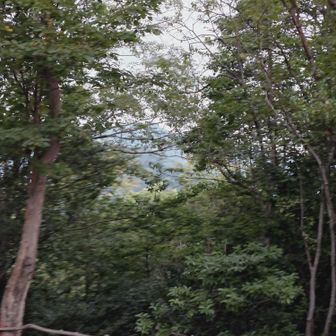 沓掛山頂上から愛宕さん