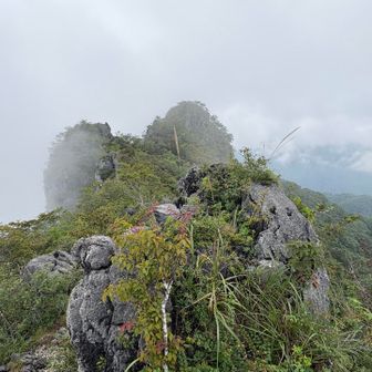 ここからの岩稜歩きが楽しいのです♪
