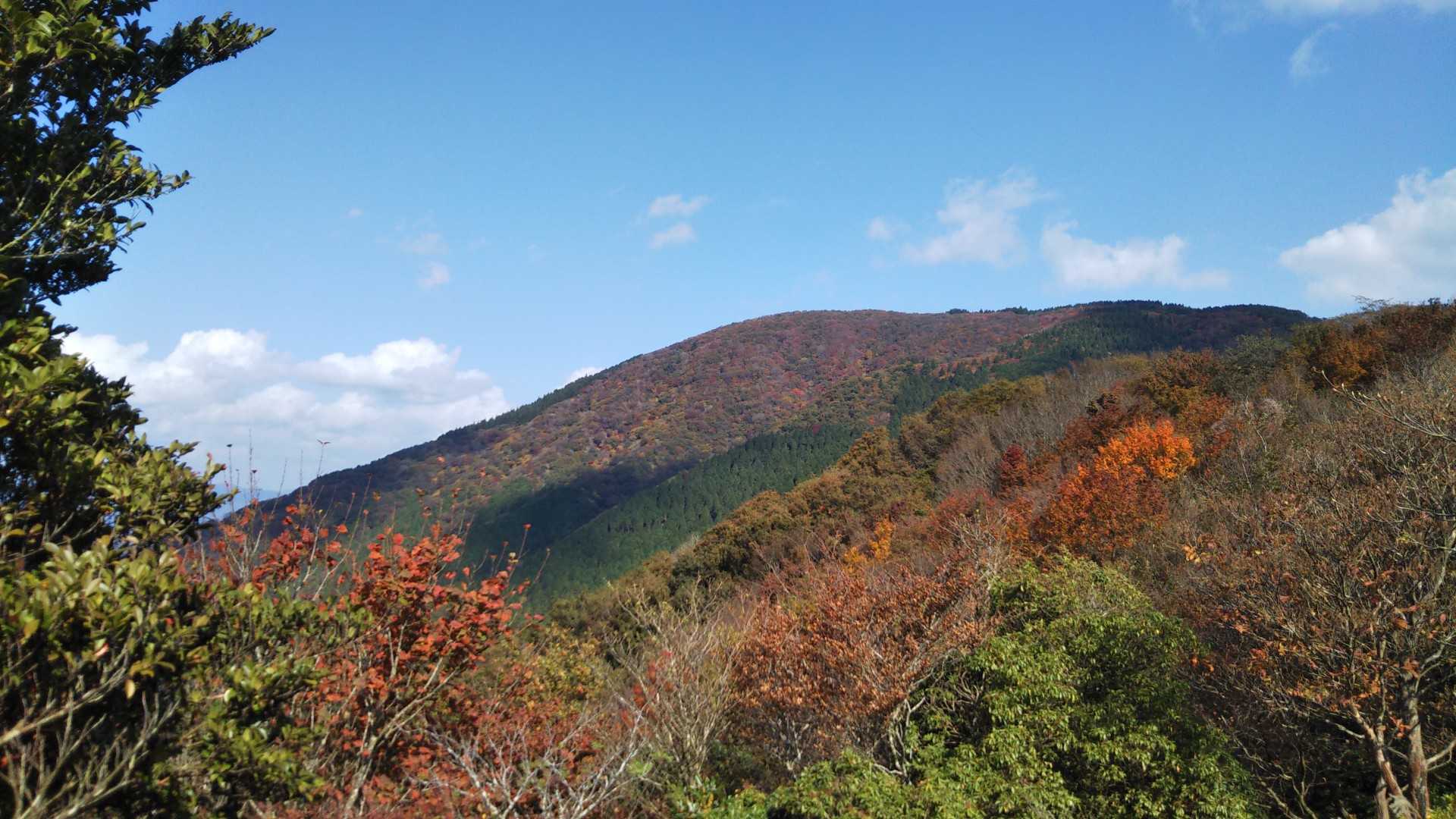 大江山 往復コースの写真
