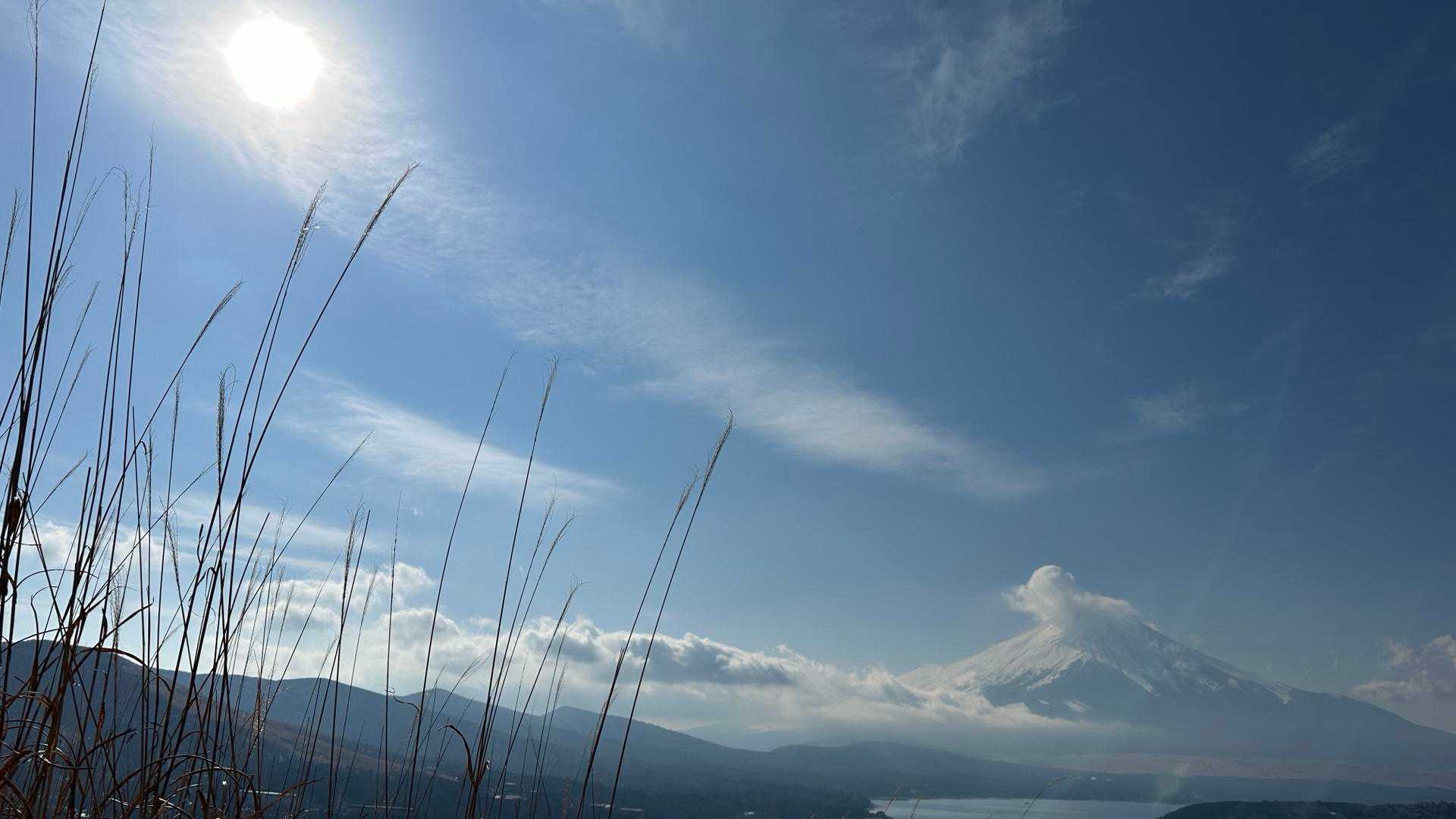 鉄砲木ノ頭-大岩-切通峠-高指山 周回コースの写真