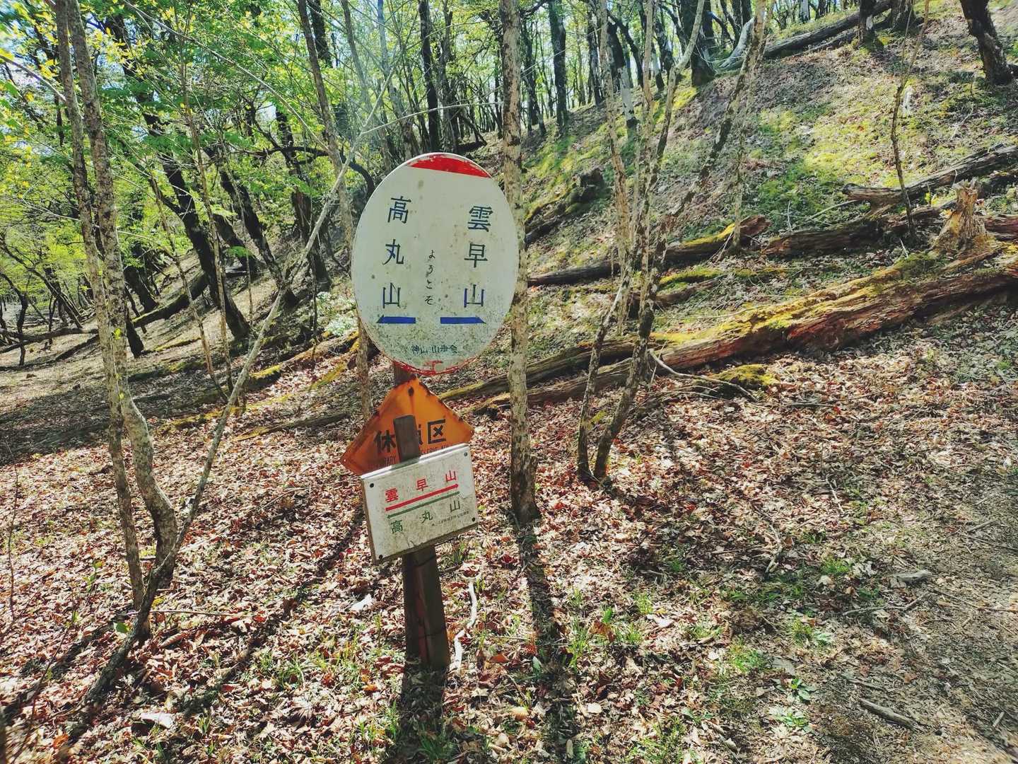 分岐きたきた
