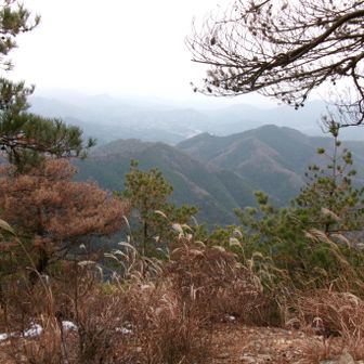 柏木山から