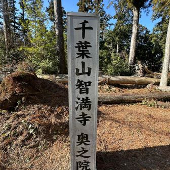 山頂着いた〜👏