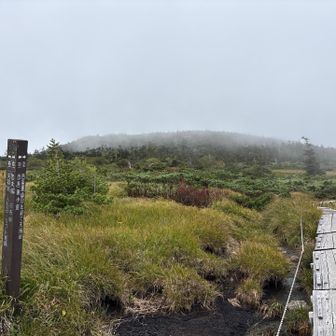 山頂へ