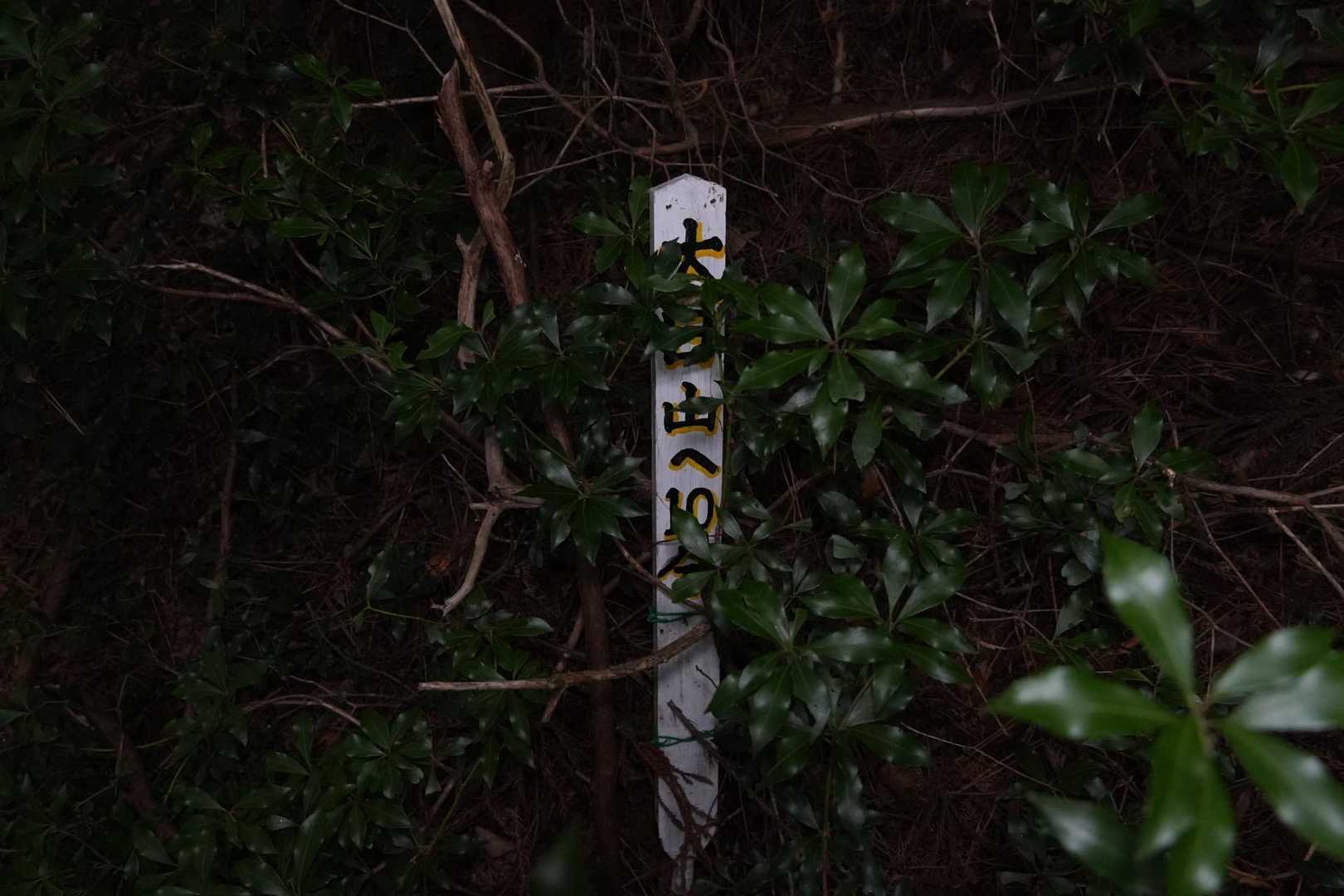 大日山登山口-大日山 往復コースの写真