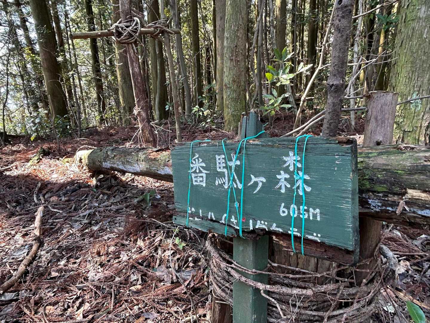 ②番駄ケ森