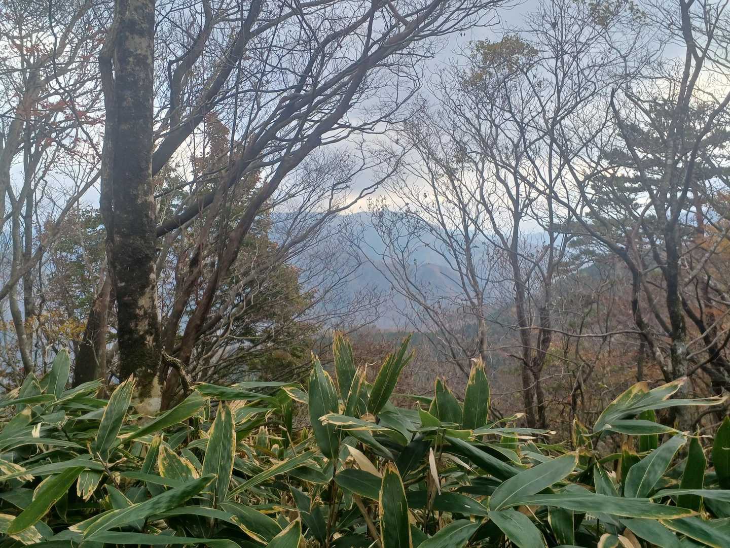 遠くの山