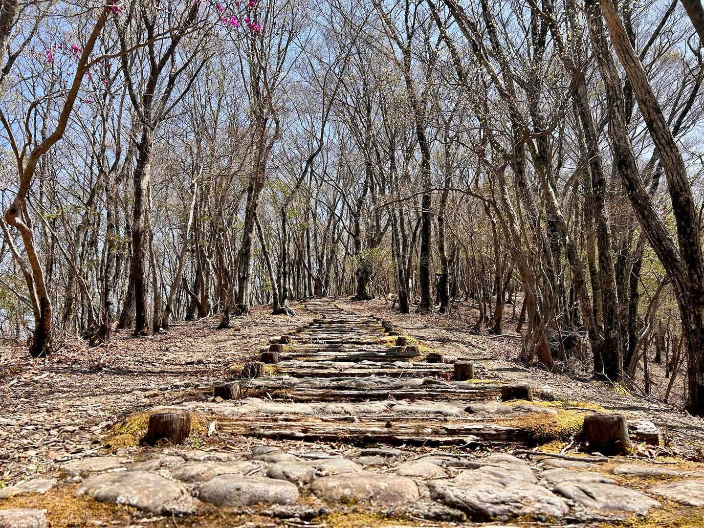 気持ちの良い道✨