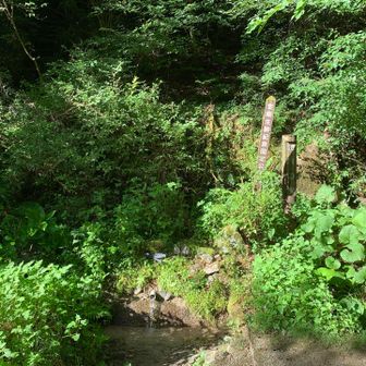 金剛の水です。ちょっと休憩。