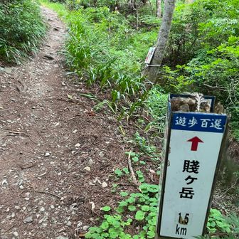 下山はさぁーとあっという間に😅
お疲れ様でした🥾