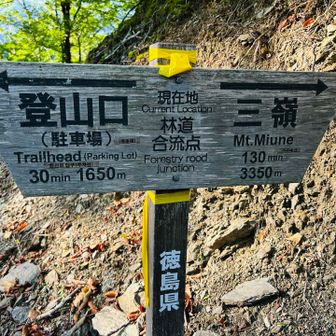 ここまで30分。急登からのスタートは、やっぱりこたえますね。