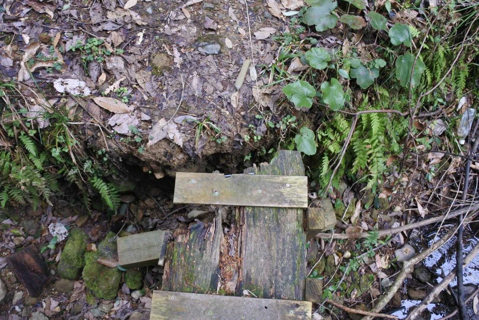 白馬山 周回コースの写真