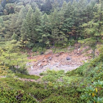 だんだん硫黄の匂いがして川の方を見ると野天風呂がありました♨️

たくさんの人が入っていたので写真は撮れませんでした🤭