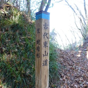 網掛峠。さっさと下山します。