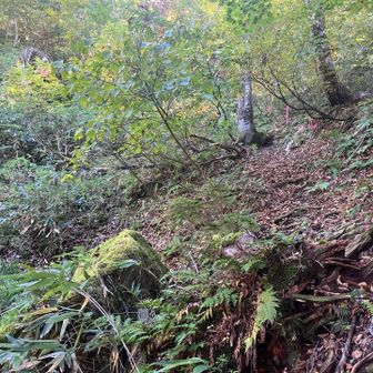 滝からの帰り道。迂回ルートは急斜面+泥