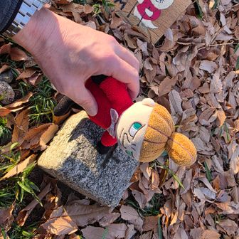 三角点タッチ🤚