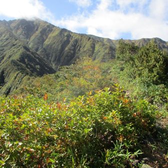 荒沢岳頂上に少しガスがかかっている。