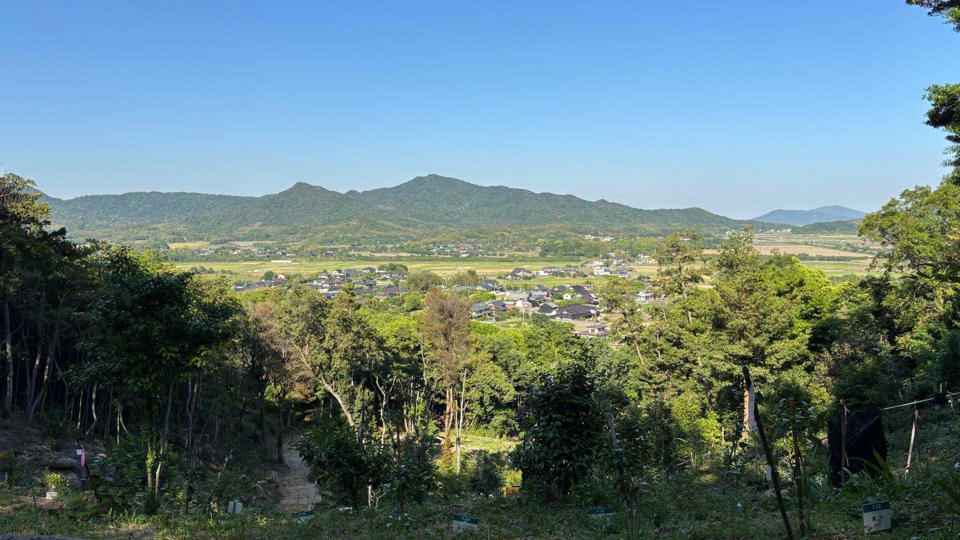 展望所でした。あれは亀尾山