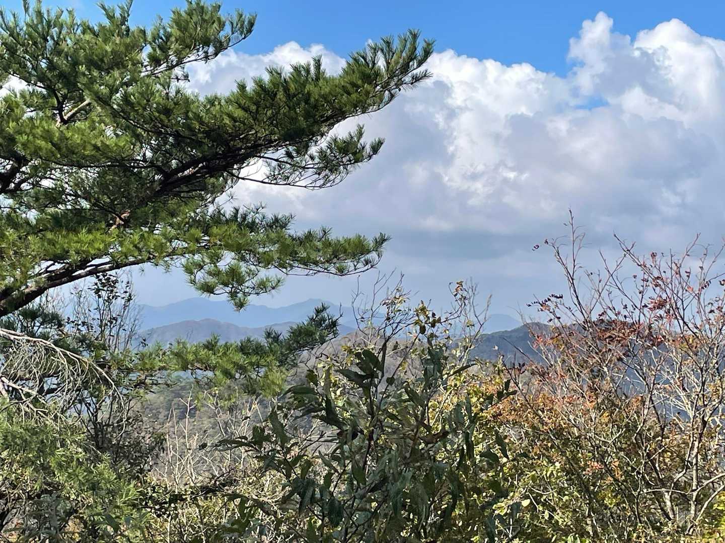 青葉山かな