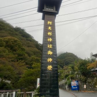 振り返ると真っ白け！
ムスコは下社まで、朝ケーブルバス停で一緒になった常連さんは富士見台まで、駐車場に戻ると登るの止めた常連さんが3人😁