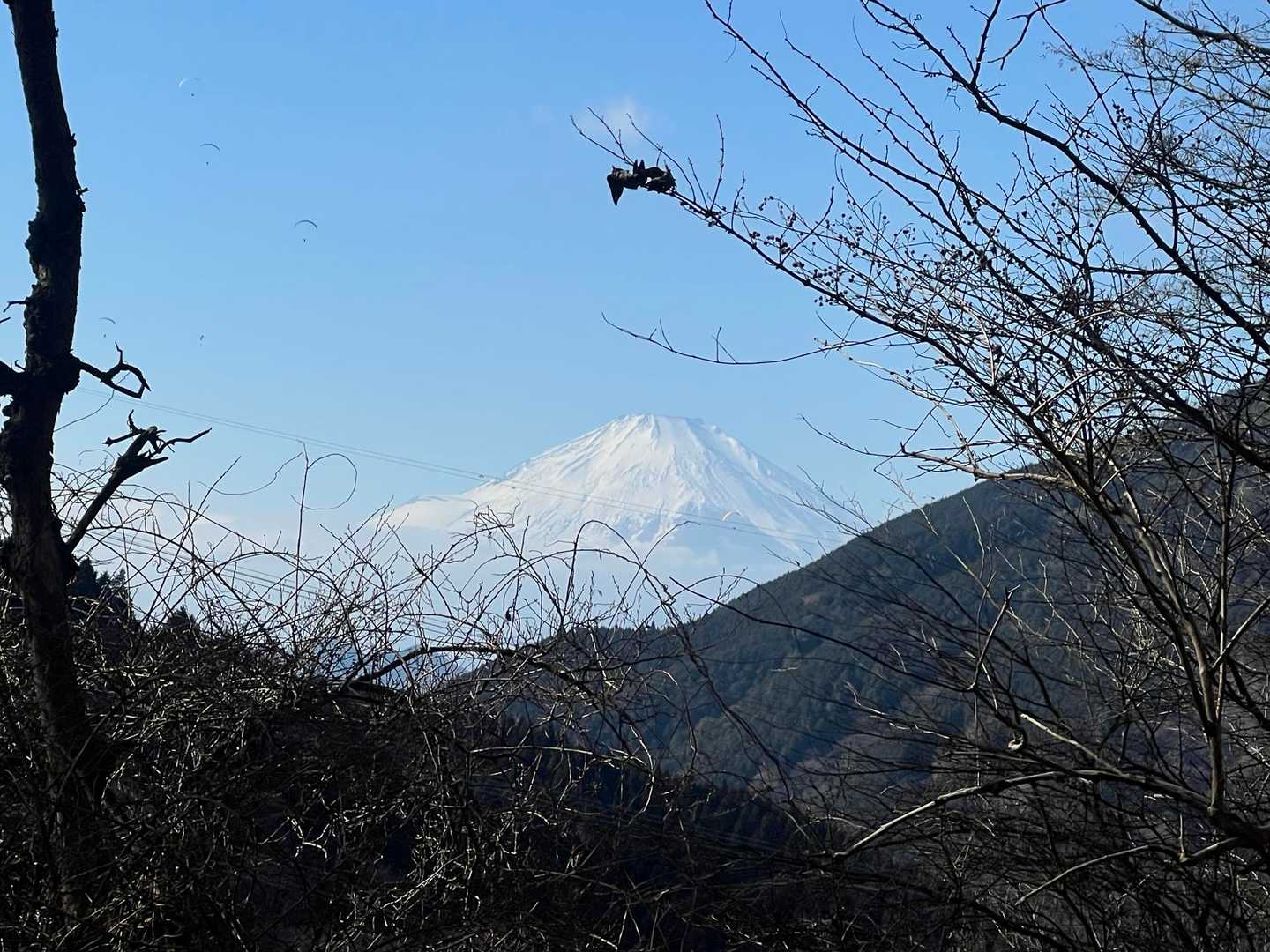 ここで富士山とお別れ🗻
またねー