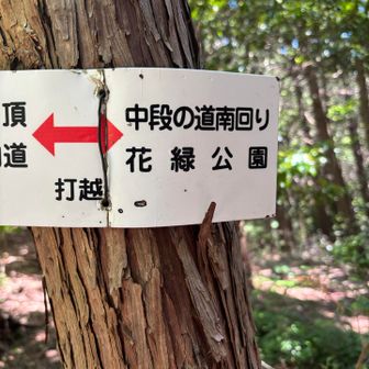 中段の道南回りを歩きます