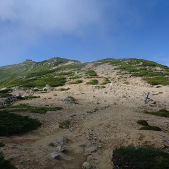 山頂部のテン場は広々