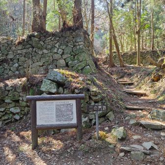 石垣が出てきました👀