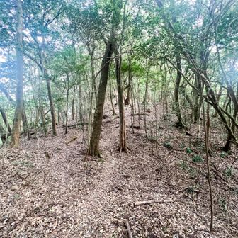 穏やかな稜線歩き。