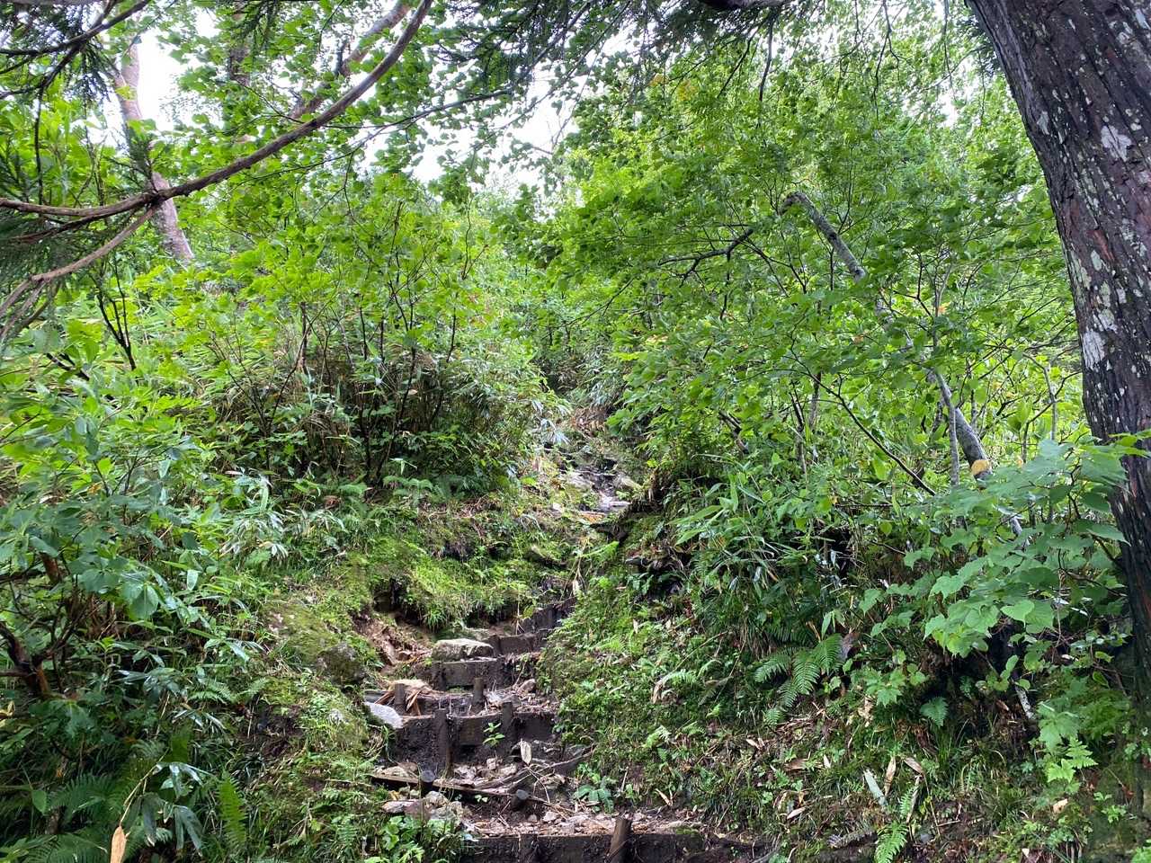 剱岳早月尾根登山口-丸山 往復コースの写真