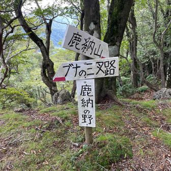 鹿納の野、登頂です♪