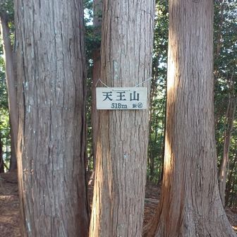 天王山 到着✌

格好良い名前✨の
飯能百名山ですが

眺望ナッシング