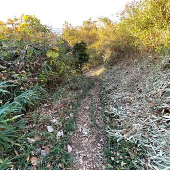 さて、急な下りが始まります⬇️