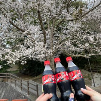 無事に下山⛰️
疲れた身体にコーラが染み渡るのです😋🥤
