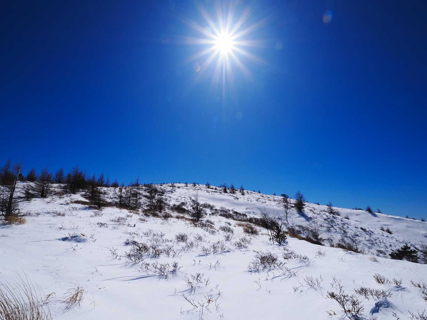 山頂を振り返る。