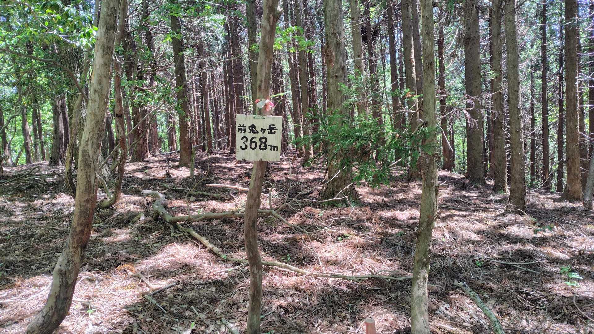 前と位置が違う🤔
