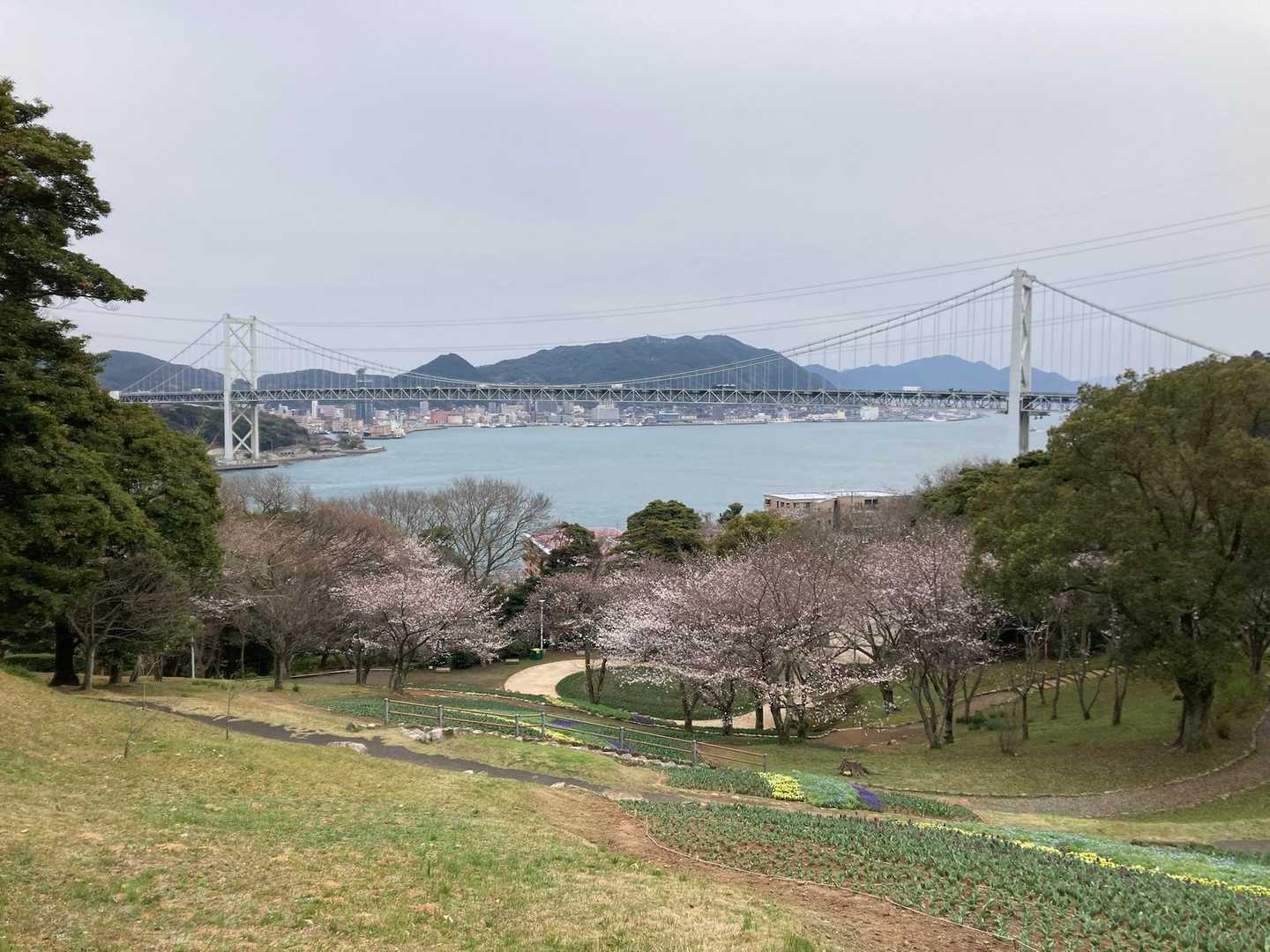 火の山公園から👍