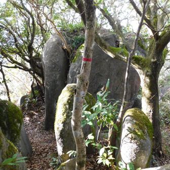 展望所は まだ先でした‼️ 