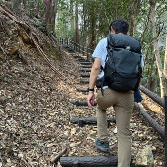 後半は階段が堪える…