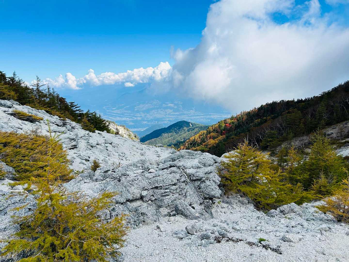 鳳凰三山周回 | 南アルプスの清流が織りなす滝から、奇岩が連なる白砂青松の稜線への写真