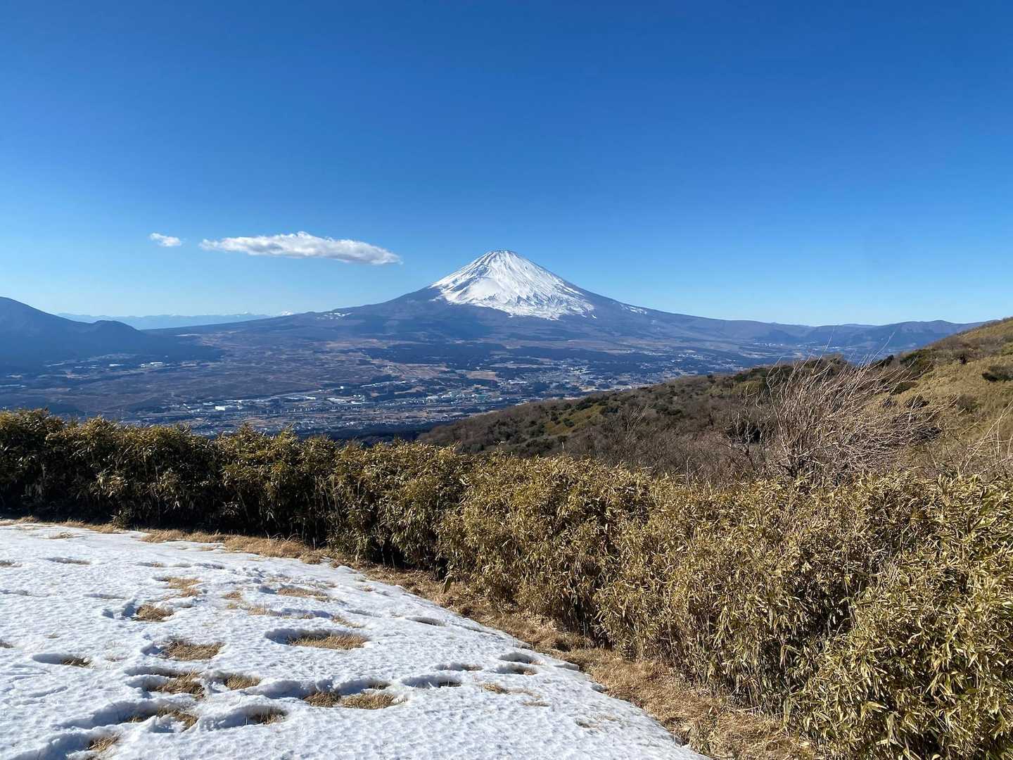 本日の富士山