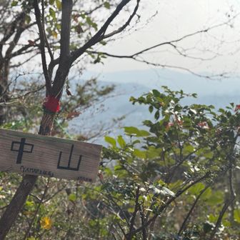 YAMAP上の仮名？