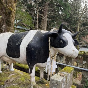 おー牛🐄さーん！
会いたかったよ〜💕