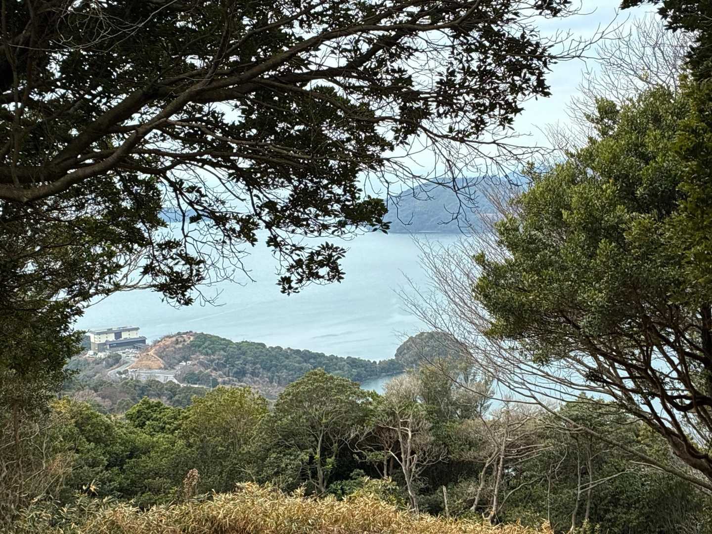 山見山から